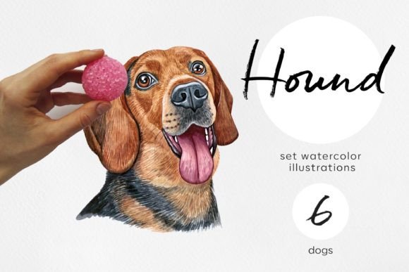 Hound Dogs Watercolor Set 6